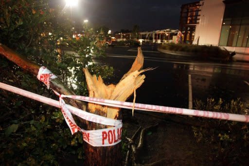 A tornado-smashed tree is seen outside a shopping centre in Auckland after a freak tornado hit the city. A major clean-up has begun as authorities in New Zealand's largest city expressed amazement that the destructive twister resulted in only one death