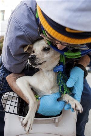 Front Street Animal Shelter animal care technician Jason Roberson loads a dog into a crate in Sacramento, California, for a flight of 50 dogs to a no-kill shelter in Idaho, December 9, 2013. REUTERS/Max Whittaker