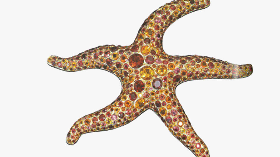 Taffin Starfish Brooch