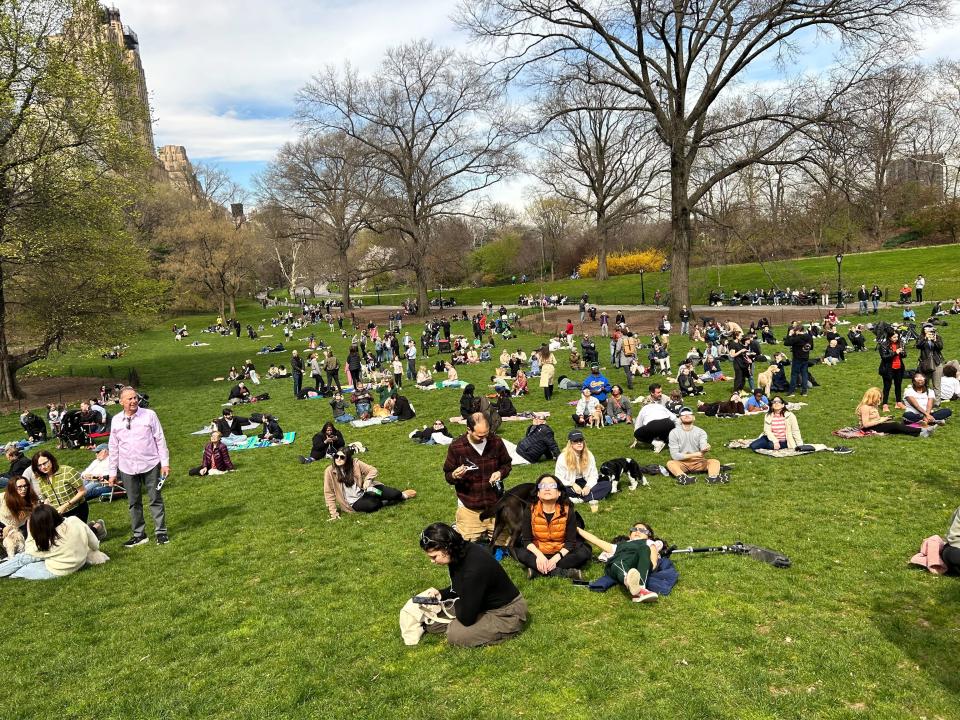 Eclipse viewers in the park.