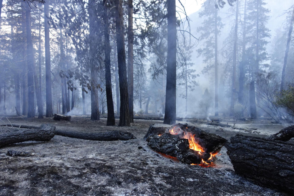 In this June 12, 2019 photo, a log burns as the ground smolders from a prescribed fire in Cedar Grove in Kings Canyon National Park, Calif. The prescribed burn, a low-intensity, closely managed fire, was intended to clear out undergrowth and protect the heart of Kings Canyon National Park from a future threatening wildfire. The tactic is considered one of the best ways to prevent the kind of catastrophic destruction that has become common, but its use falls woefully short of goals in the West. (AP Photo/Brian Melley)
