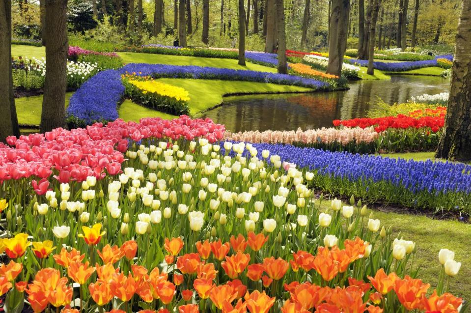 Keukenhof Gardens, Netherlands