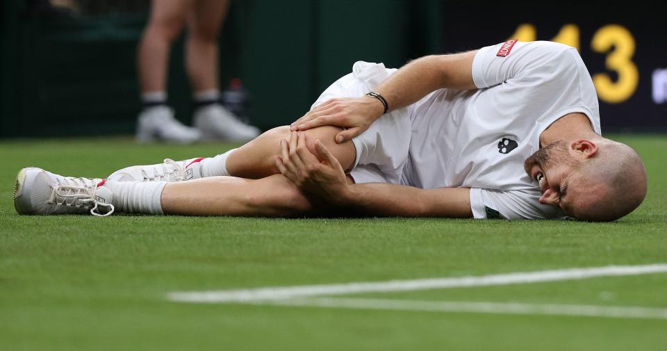 Adrian Mannarino, pictured here after falling on the Wimbledon grass while playing Roger Federer.