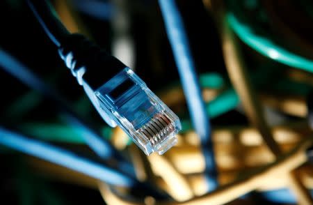 An internet cable is seen at a server room in this picture illustration taken in Warsaw January 24, 2012. REUTERS/Kacper Pempel