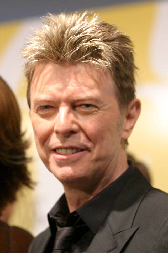 … David Bowie. I diritti sulle sue opere complete sono stati assegnati alla Warner Chappell Music per 250 milioni di dollari.