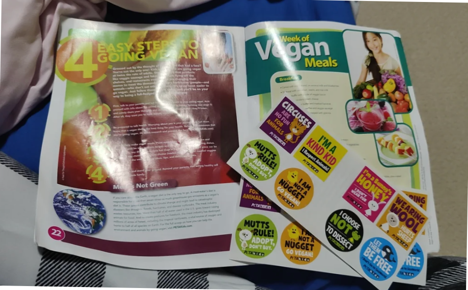 A pamphlet with vegan meals