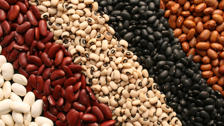 assortment of dried beans