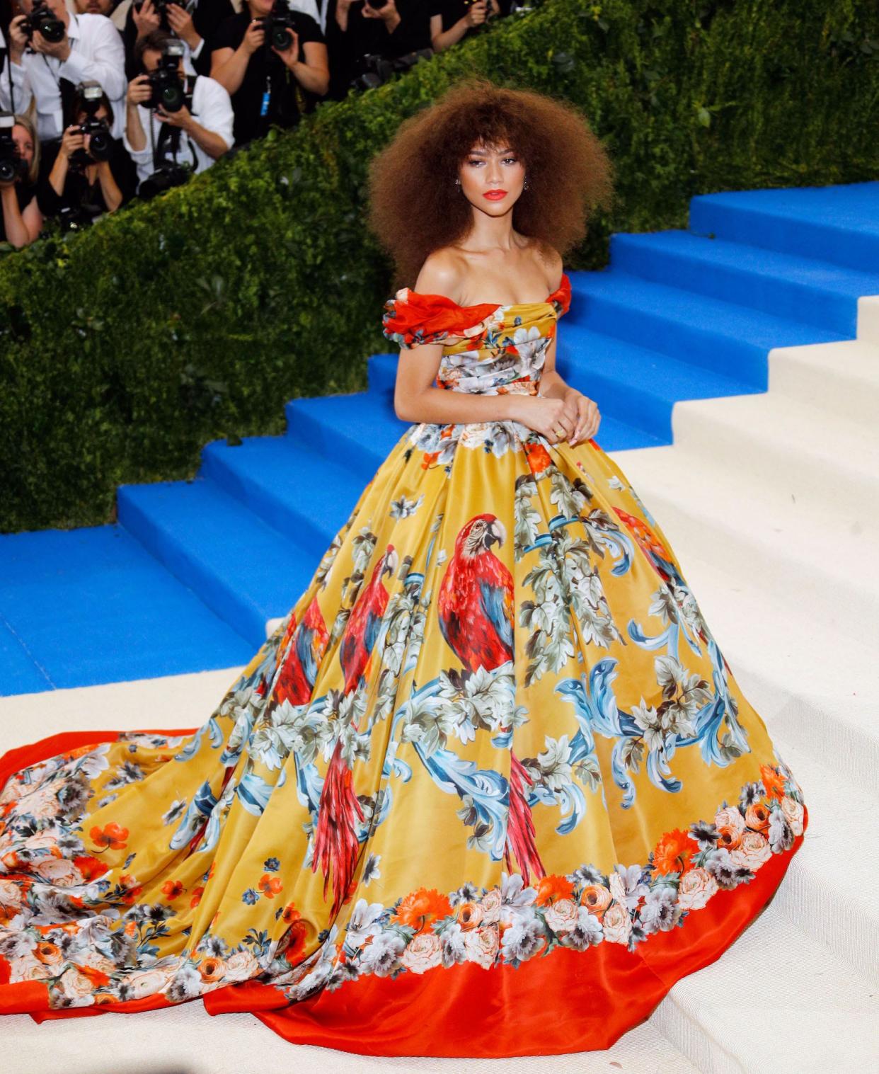 Zendaya poses on the red carpet of the 2017 Met Gala in New York City, wearing a colorful ball gown with a flower and parrot pattern.