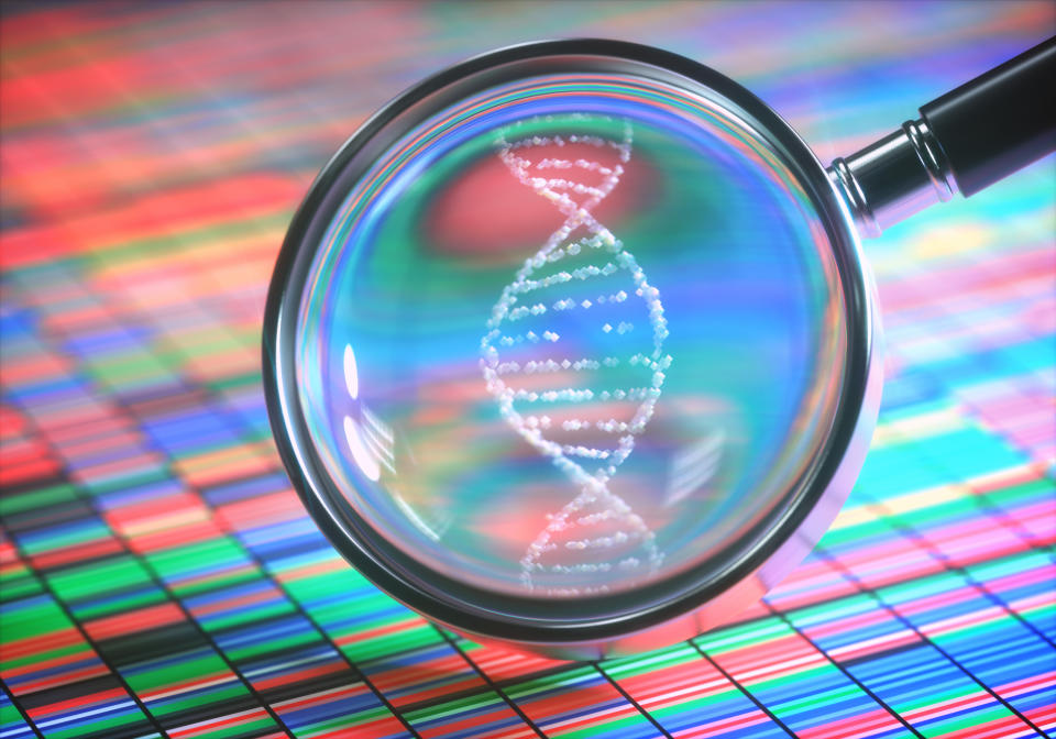 Magnifying glass showing DNA strand on top of color-coded gene sequencing chart.