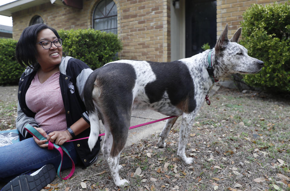 In this photo made Monday, March 2, 2020, Danielle Moore sits with her her pet Australian cattle dog named Kana in Dallas. In the dog-eat-dog world of online shopping, Chewy has an unusual plan to fend off Amazon: turning pets into works of art. The online pet shop surprises customers with oil paintings of their furry friends, a move the company says wins them customers for life. (AP Photo/LM Otero)