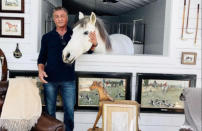 The 'Rocky' legend proved there's a soft side to this action man. The 75-year-old actor loves his horse so much he let the animal in for breakfast! He posted: "Is there anything more heart warming than animals? So look who came into the house for breakfast! #Andalusian horse"