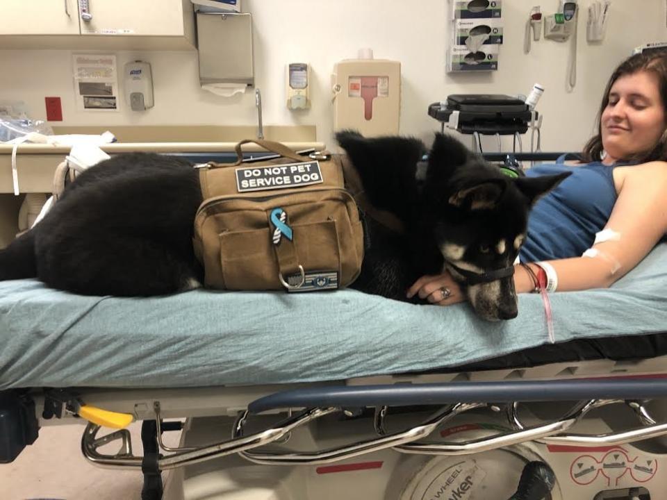 "I had heard before Antares arrived that&nbsp;service&nbsp;dogs give you freedom. It's no joke. She knows what my body is doing before I do. Every day, she surprises me with new ways to help me. When my body fails, she steps in. When I have her by my side, I feel unstoppable."&nbsp;&mdash; <i>Noelle Riley, Antares' mom (<a href="https://www.instagram.com/antares_the_service_star/" target="_blank" rel="noopener noreferrer">Follow Antare on Instagram</a>)&nbsp;</i>