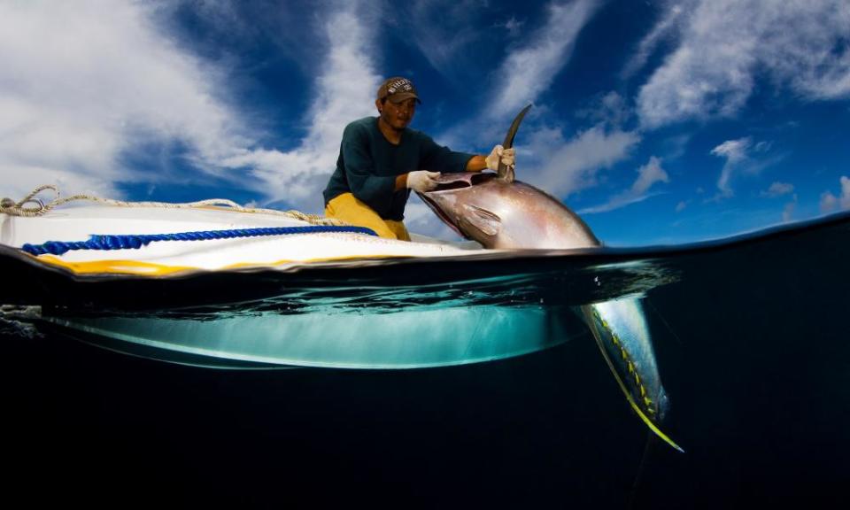 <span>Photograph: Mauricio Handler/National Geographic/Getty Images</span>