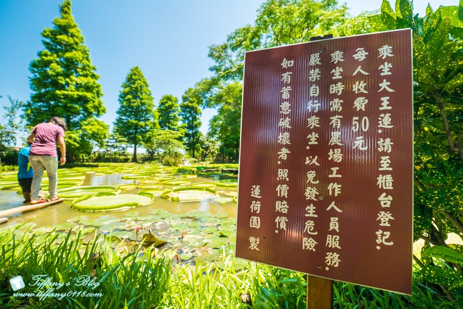 桃園｜蓮荷園休閒農場