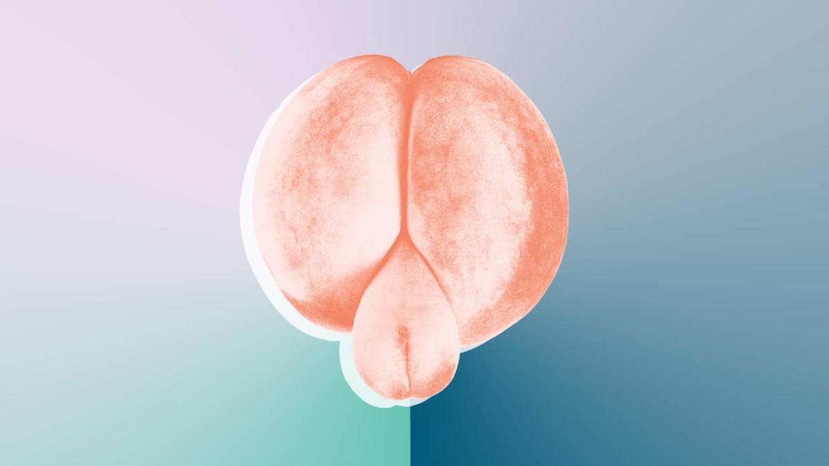 What It Was Really Like to Try a Butt Plug for the First Time