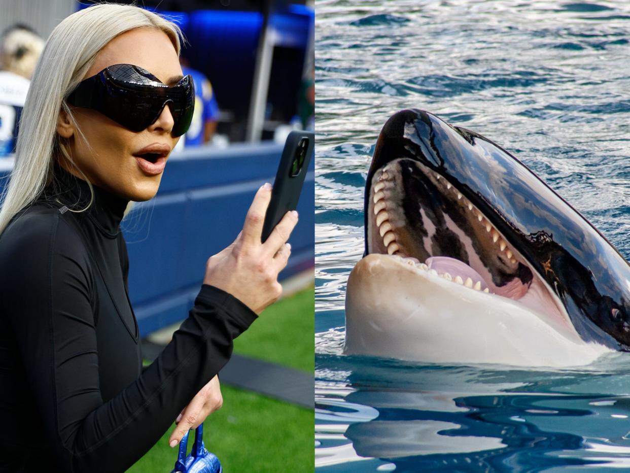 A photomontage shows Kim Kardashian wearing sunglasses and holding up a phone at a football game, next to a picture of an orca with their mouth open.