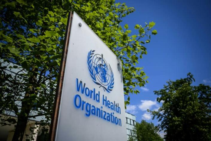 Trump has been sharply critical of the World Health Organization's pandemic response (AFP Photo/Fabrice COFFRINI)