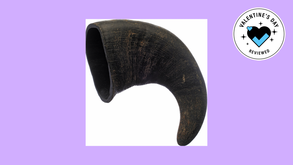 Best gifts for your pet for Valentine's Day: Buffalo horn treat