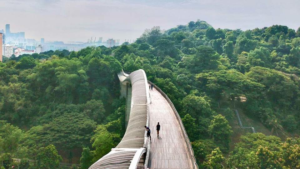 best hiking trail in singapore - telok blangah hill park hero henderson waves