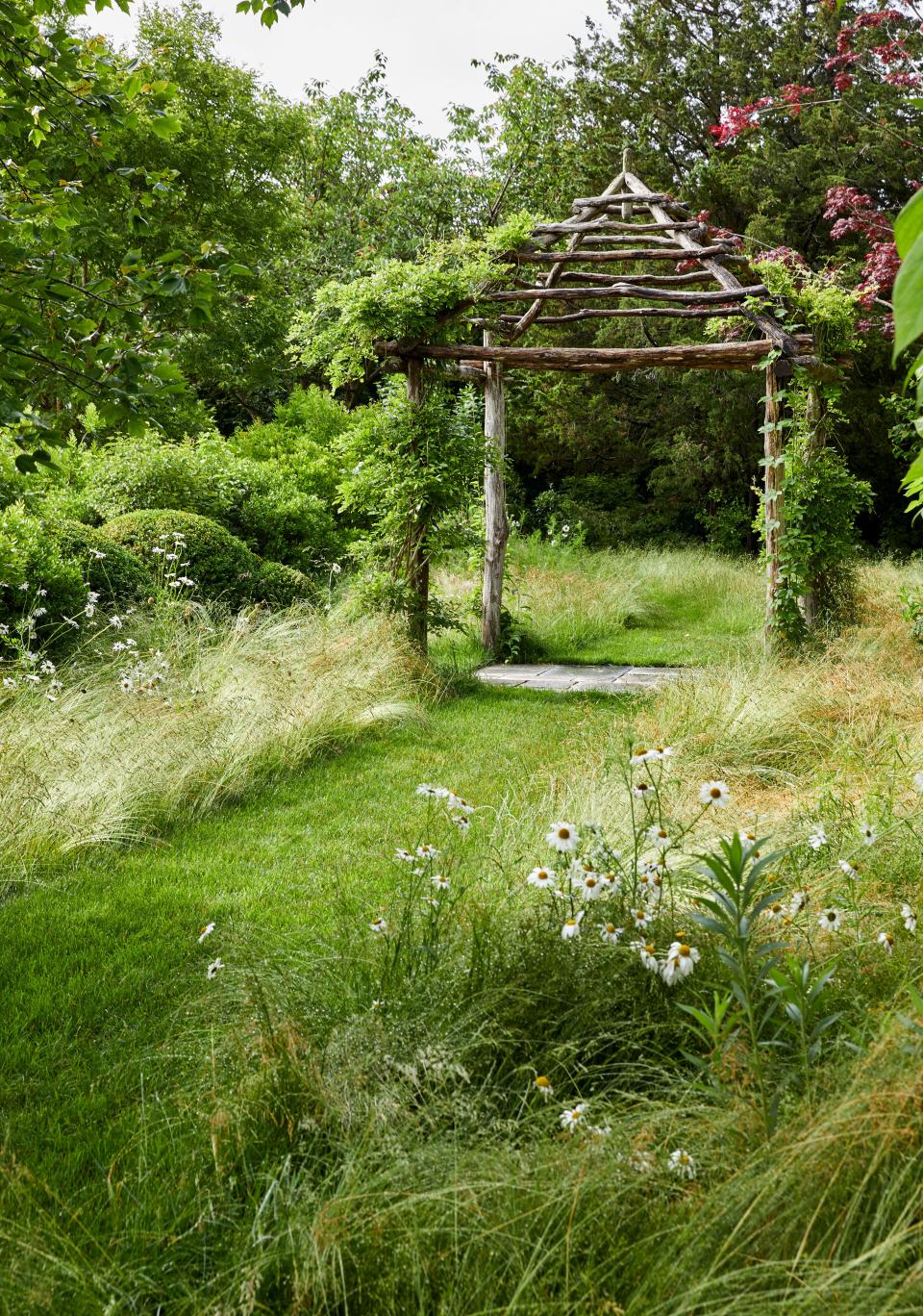 In the lush walled garden stands a pergola with white wisteria.