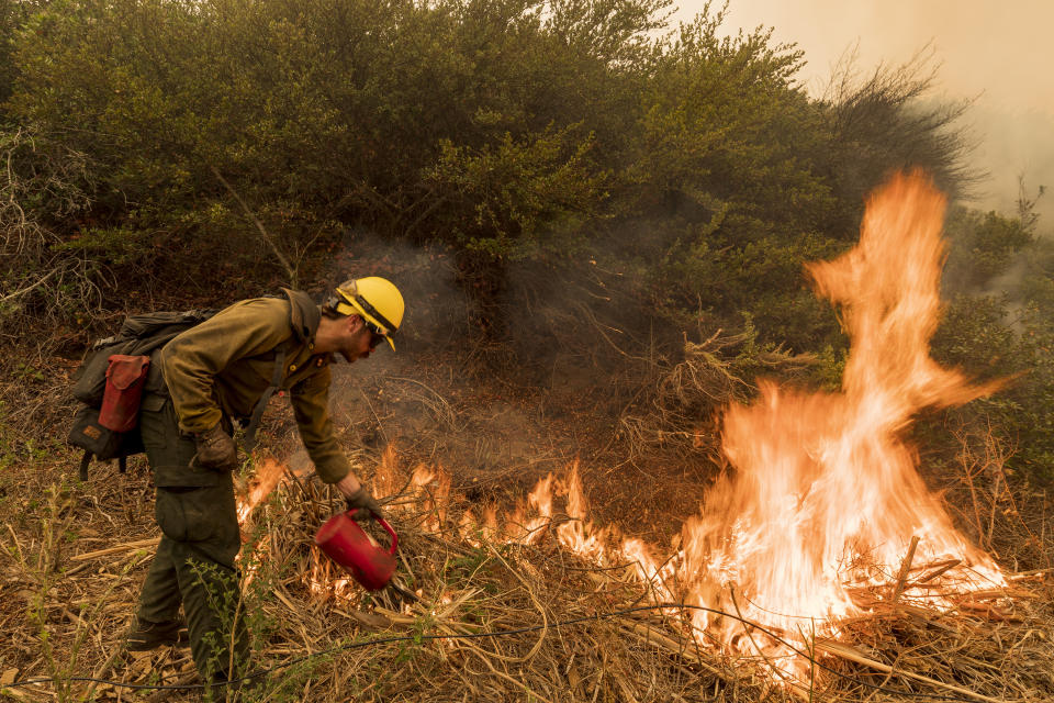 A firefighter with Vandenberg Air Force Base, lights a back burn to help control the Dolan Fire at Limekiln State Park in Big Sur, Calif,. Friday, Sept. 11, 2020. (AP Photo/Nic Coury)