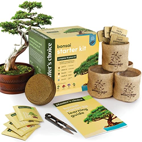 Planter's Choice Bonsai Starter Kit (Amazon / Amazon)