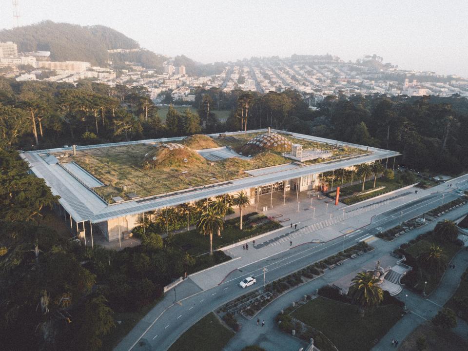 California Living Roof