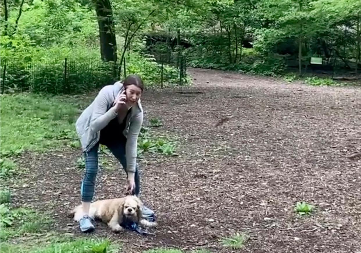 <p>FILE - This May 25, 2020, file image, taken from video provided by Christian Cooper, shows Amy Cooper with her dog calling police at Central Park in New York. Amy Cooper, the white woman who called 911 on Black birdwatcher Christian Cooper in the park, is suing her former employer for firing her over the incident. </p> ((Christian Cooper via AP, File))
