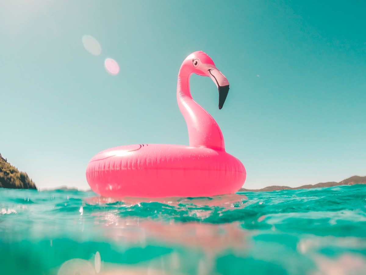 flamingo floatie in a pool