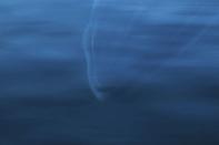 Portrait of a minke whale in calm water, Antarctic Peninsula. <br><br>Camera: Nikon 1DS <br><br>Sue Flood, UK <br><br>Commended, One Shot Wild Moments (single image category)