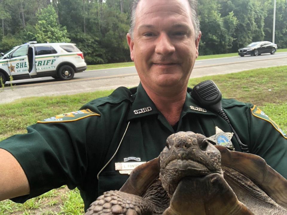 A tortoise was detained by police for blocking a road and refusing to move when asked.The slow-moving Florida native was making its way along Nocatee Parkway, north of St Augustine, when St John’s County Sheriff’s Deputy L Fontenot spotted it during a routine patrol.Deputy Fontenot attempted to get the animal, identified as “Gopherus Genus”, whose exact age is unknown, to clear the road but he refused and carried on walking.The officer quickly detained the suspect and after a “heartfelt conversation regarding his risky behaviour” he was “released on his own recognisance” to a nearby woodland.Posting a selfie with the tortoise on Facebook, Deputy Fontenot said: “Gopherus was cooperative during the remainder of my encounter with him, so I chose to use discretion and let him go with a warning. In fact, our interaction was so positive, we posed for a selfie together.”Gopher tortoises are listed as threatened in Florida.They can live up to 60 years in the wild, while captive tortoises can live up to more than 90.They are considered a keystone species because the deep burrows they dig for shelter are shared with 350 other species.According to the Florida Fish and Wildlife Conservation Commission, both the tortoise and its burrows are protected under state law.