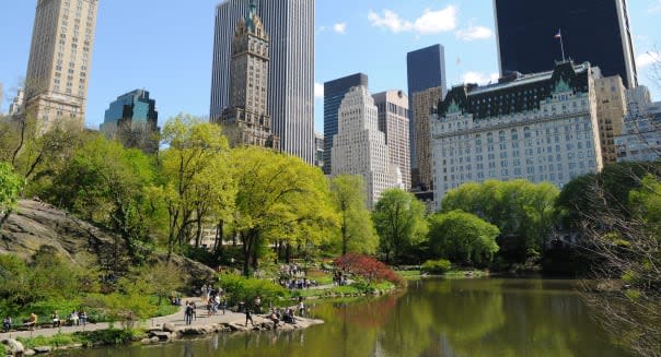 The Pond at Central Park, New York City