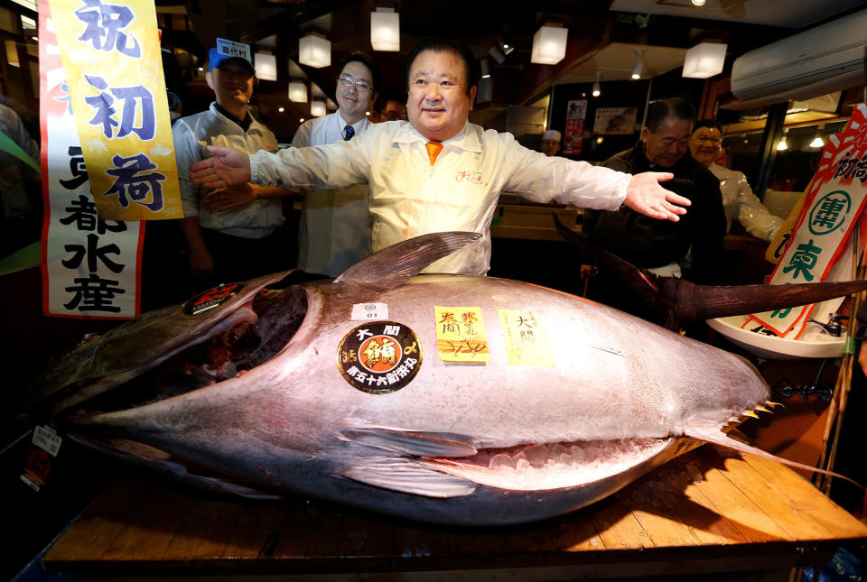 Bidding for tuna at Tsukiji