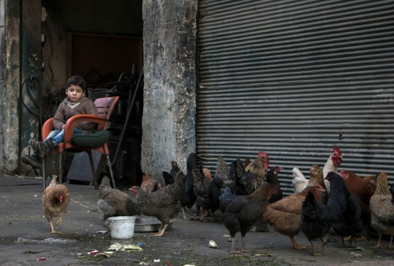 A Syrian child sits next to chickens being raised for eggs and meat in the northern embattled Syrian city of Aleppo on February 9, 2016