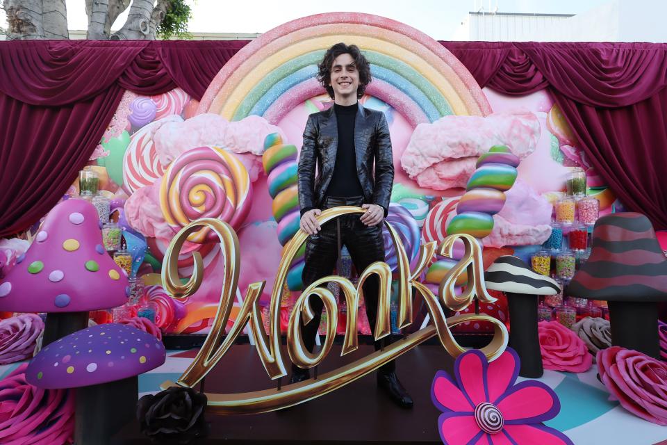 Chalamet at the Los Angeles premiere of Wonka on December 10, 2023 in California