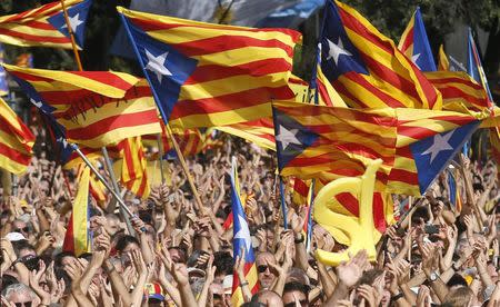 People wave their "Esteladas" (Catalonian separatist flag) flags during a Catalan pro-independence demonstration at Catalunya square in Barcelona October 19, 2014. REUTERS/Albert Gea