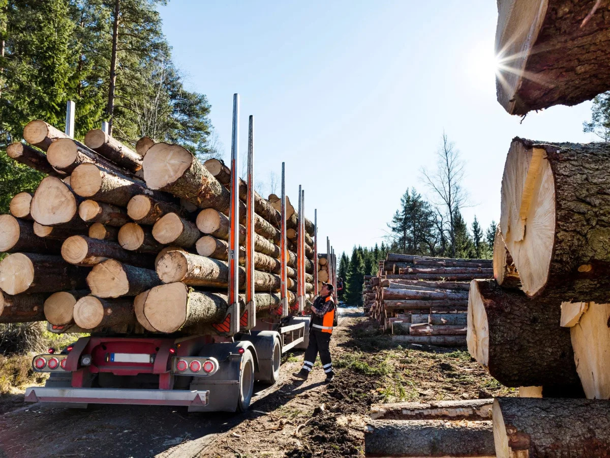 Inflation and soaring gas prices have forced a North Carolina logging company to..