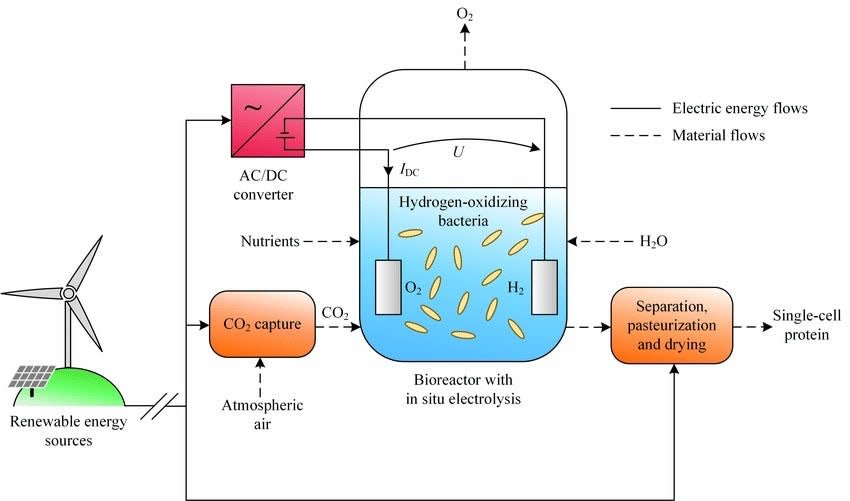 food from electricity 3