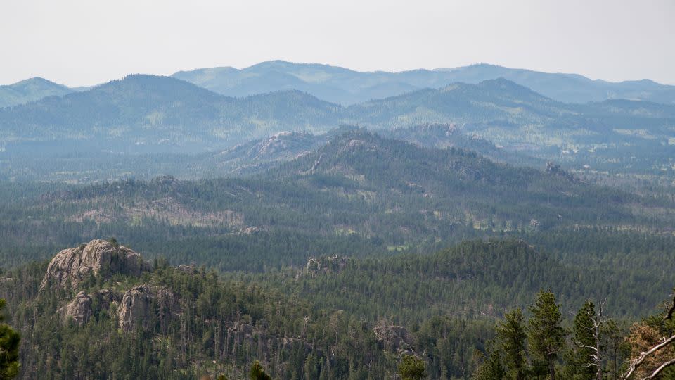 The Black Hills of South Dakota, a holy site for dozens of Indigenous tribes who are fighting to see the land returned to them. - Patrick Gorski/NurPhoto/Getty Images