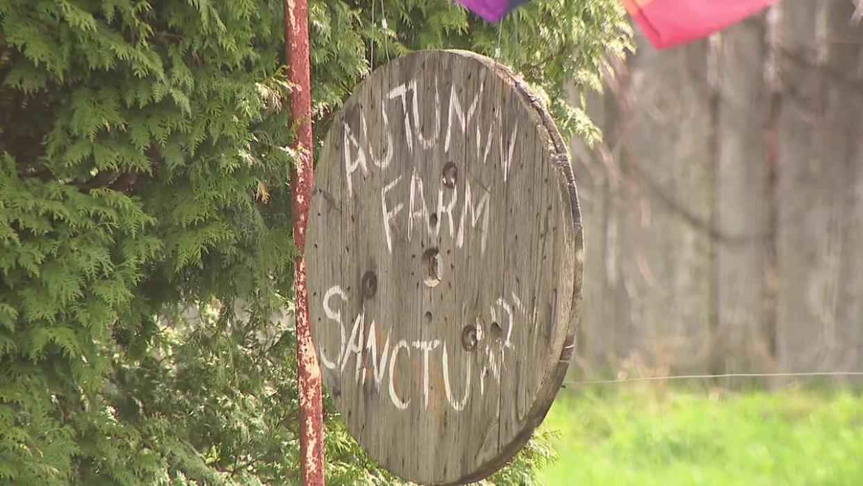 <div>Autumn Farm Sanctuary</div>