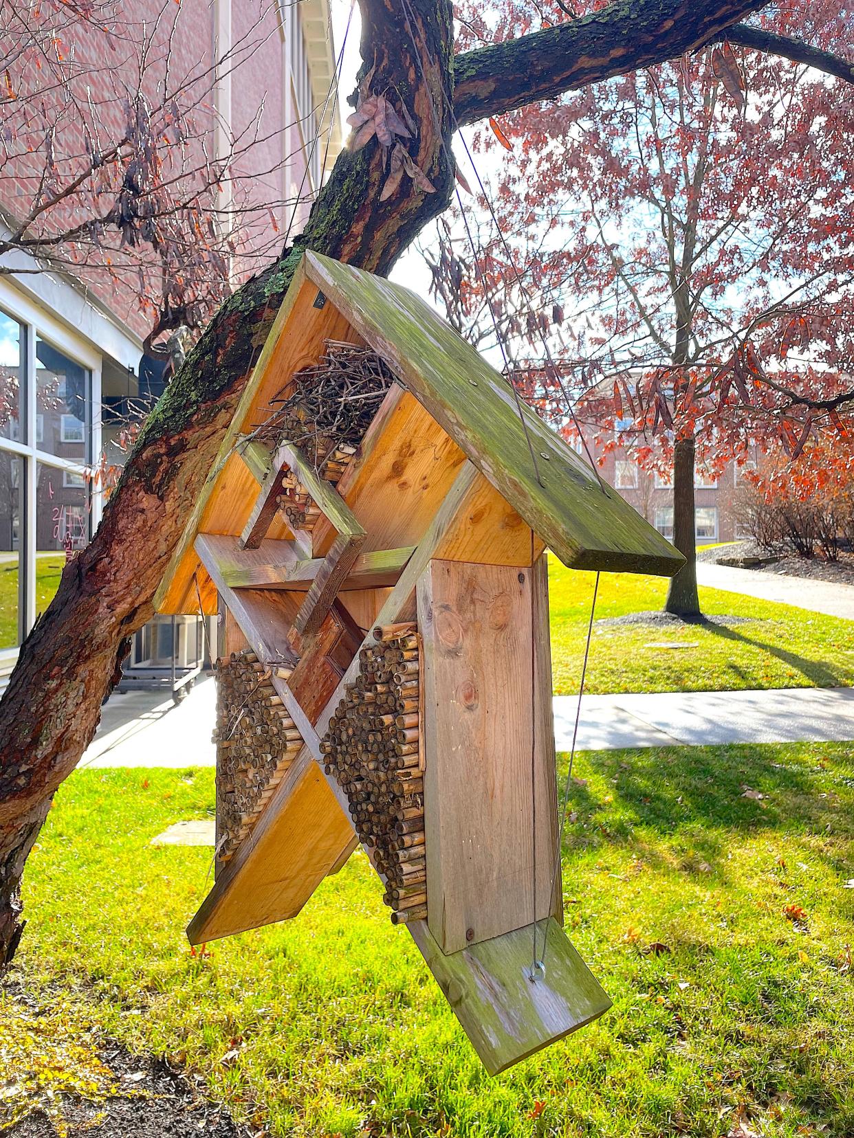 A bee hotel outside Slayter Hall, the Denison University student union at the center of campus. The hotels dotting the Granville campus are a collaborative effort by students in the studio art and biology departments, who worked together to create and monitor safe spaces for some of the 500 species of bees in Ohio.