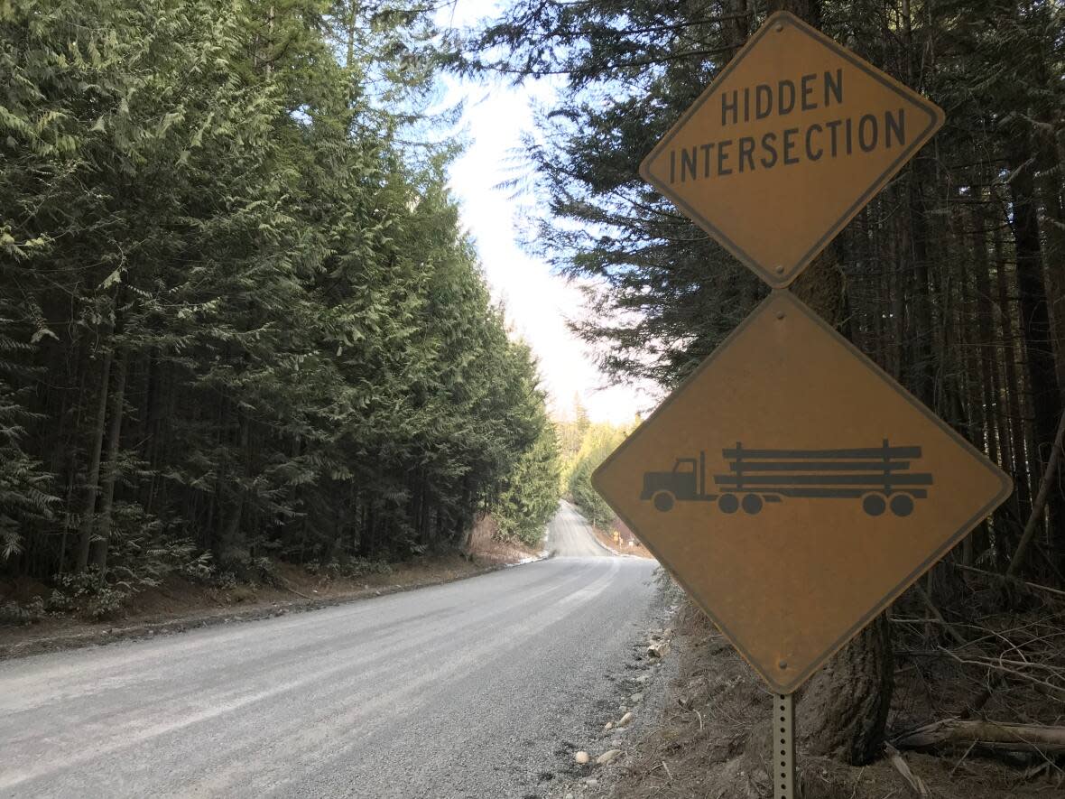 Many resource roads in B.C. suffered substantial damage from the flood event last year, with provincial engineers only now starting to uncover the full extent of the damage. (Megan Thomas/CBC - image credit)