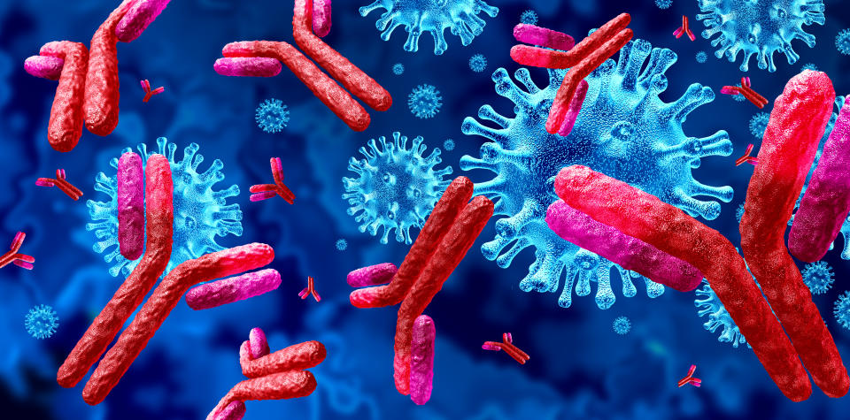 Antibody and Immunoglobulin concept as antibodies attacking contagious virus cells and pathogens as a 3D illustration.