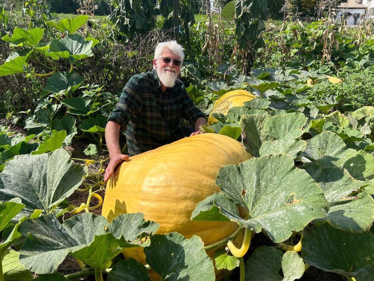 Mike Macdonald started the Lennoxville Giant Pumpkin Festival with his friends over 30 years ago. Now it's an annual community event. (Gordon Lambie/CBC - image credit)