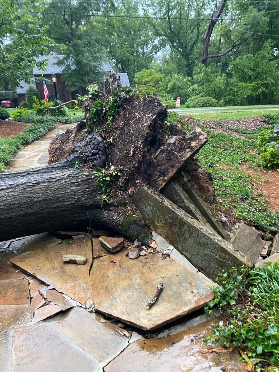 A tree down on Argyle Circle caused damage, but fortunately not to the home or vehicles there.