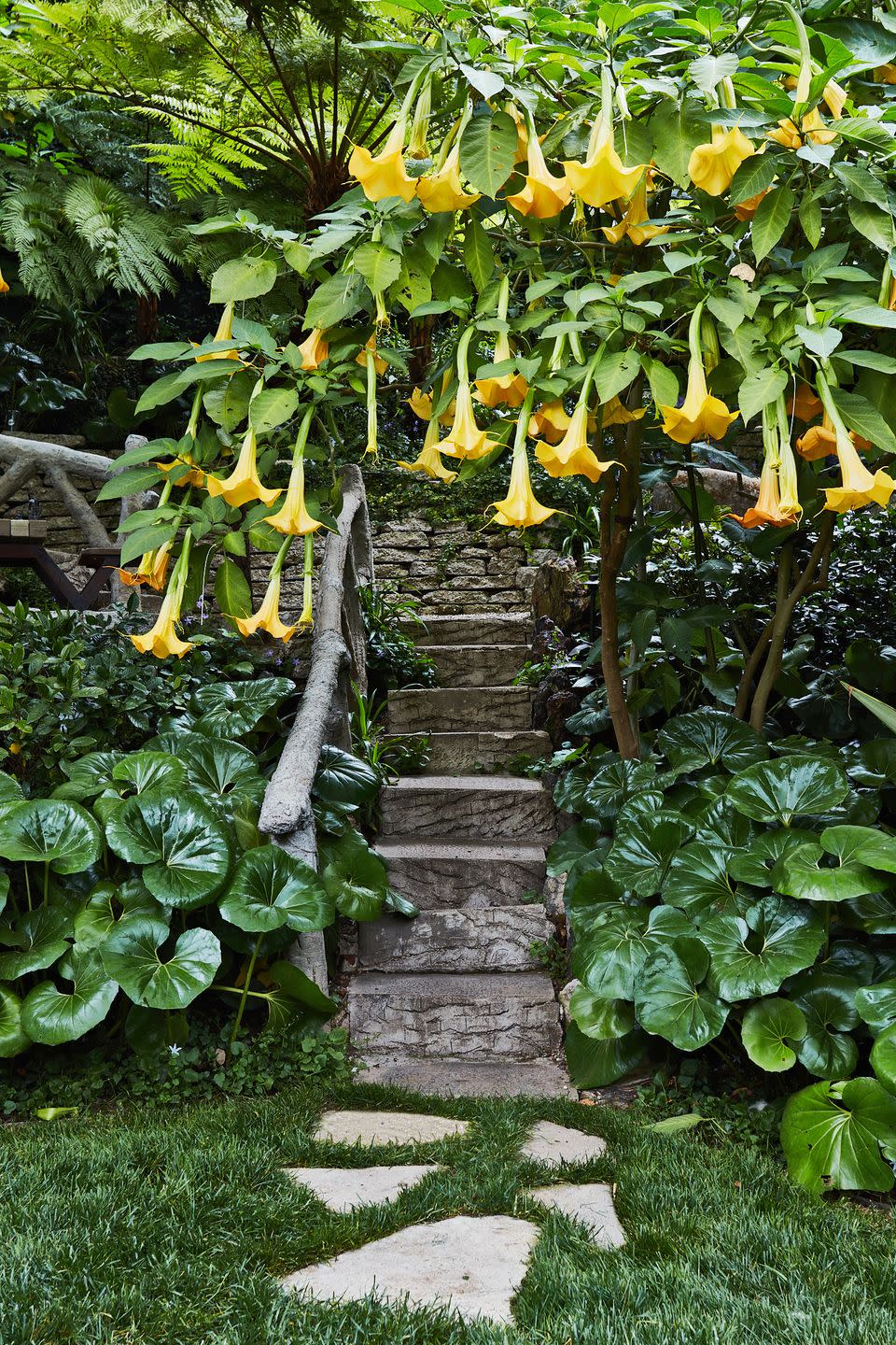 the propertys 1940s stair rails here cradled by angels trumpet and glossy leopard plant inspired other faux bois elements