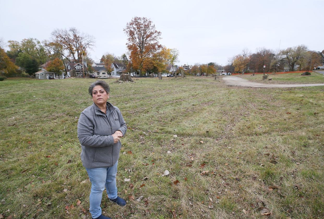 Rochelle D. Sibbio, president and CEO of Habitat For Humanity of Summit County, stands on the site of a 16-home development that Habitat for Humanity is building in North Hill in Akron.