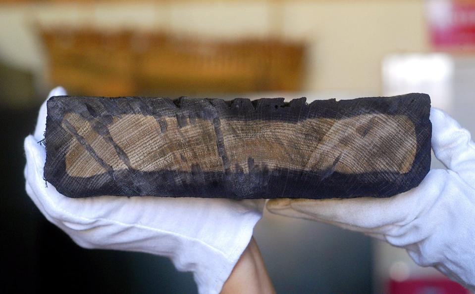 Tree rings in conserved ship timber