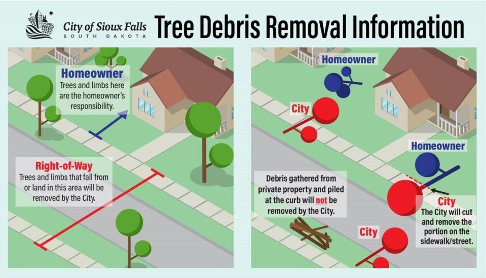 City guidelines on tree debris removal
