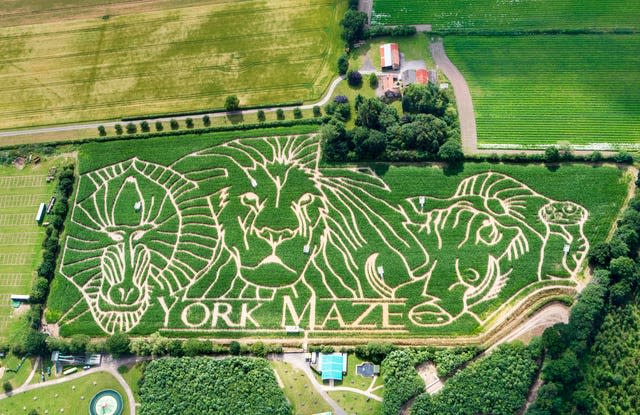 York Maze